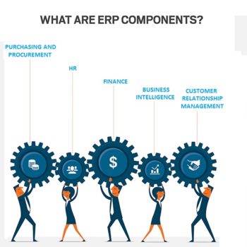 What are ERP Components?